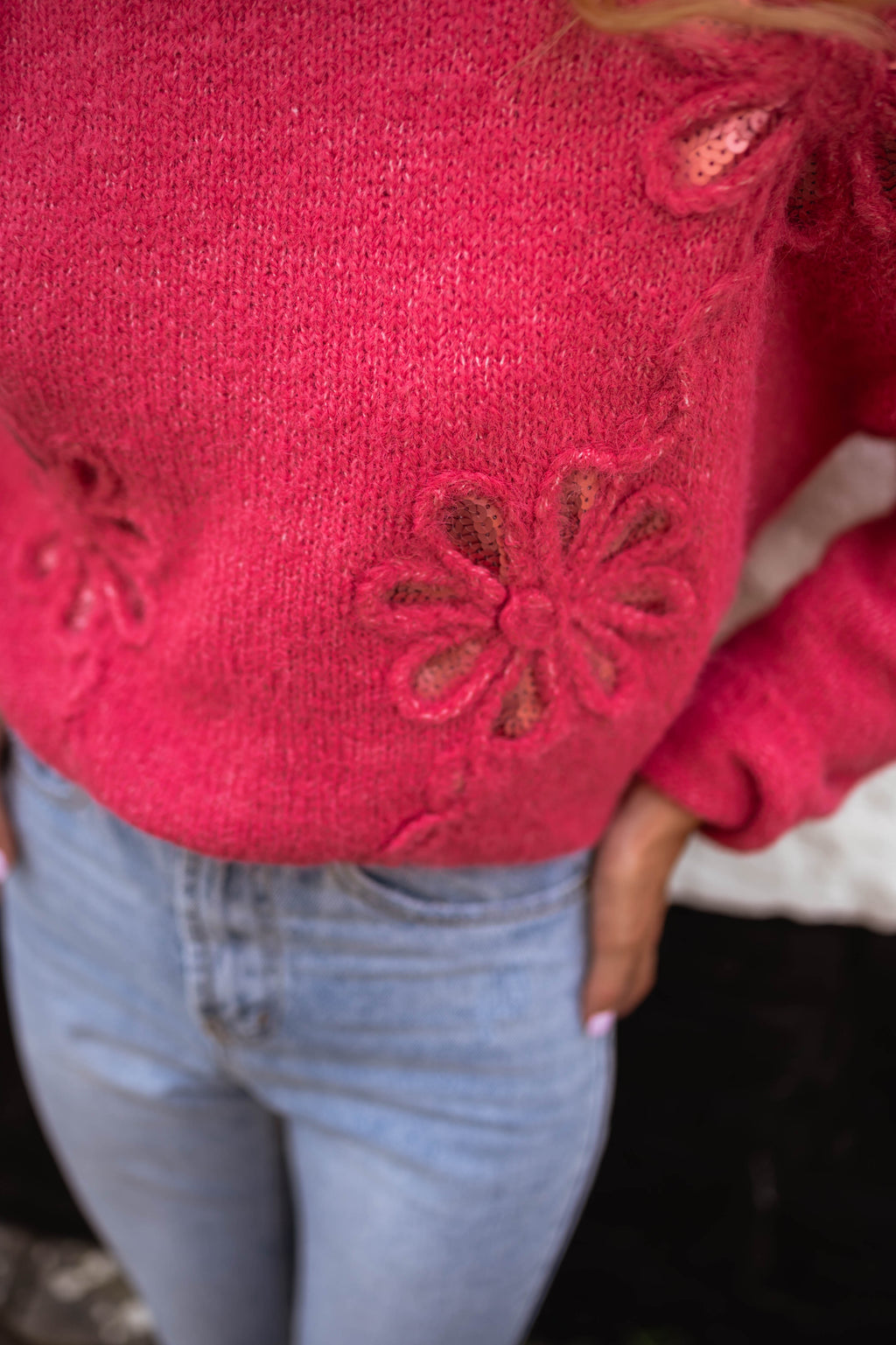 Clary sweater - raspberry with flowers 